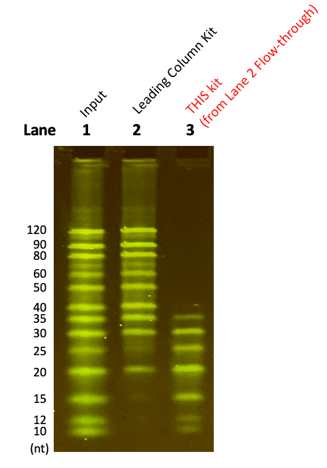 Rescue of missed 10-35 nt nucleic acids