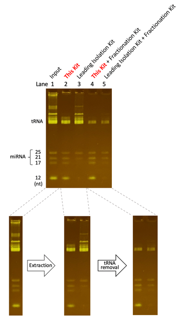 Preserves Ultra-Short Targets