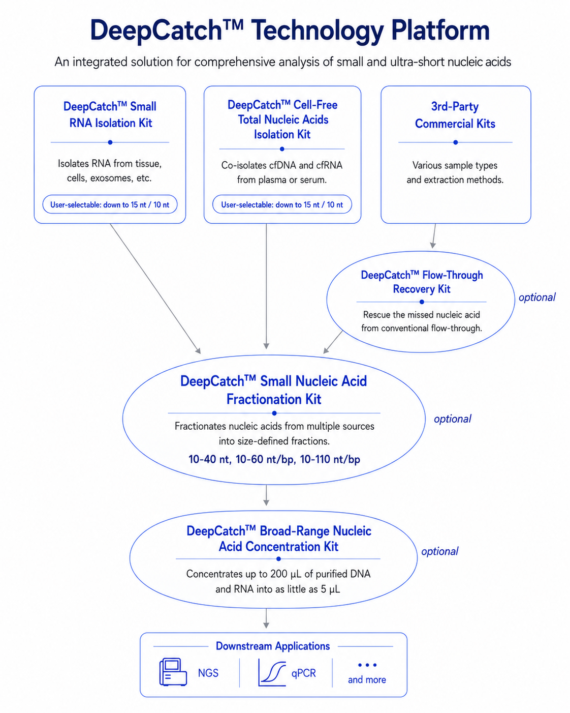 DeepCatch Workflow Diagram