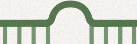 microRNA Purification Technology